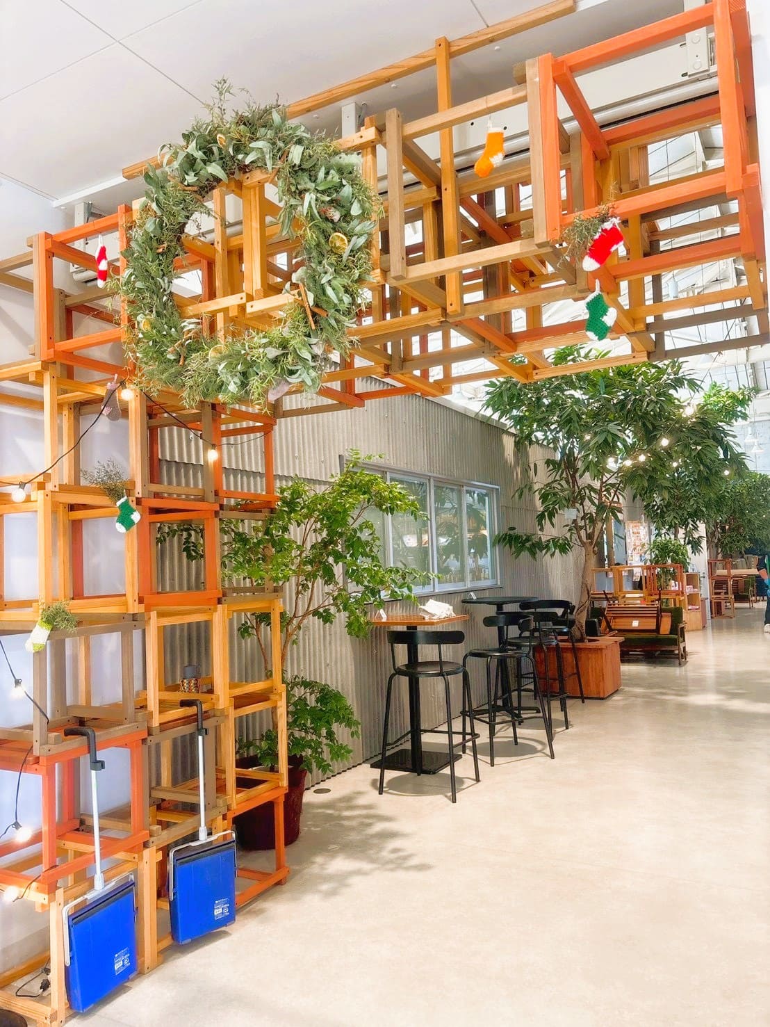 ギャラリー画像